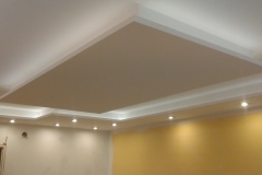 IMAG0355